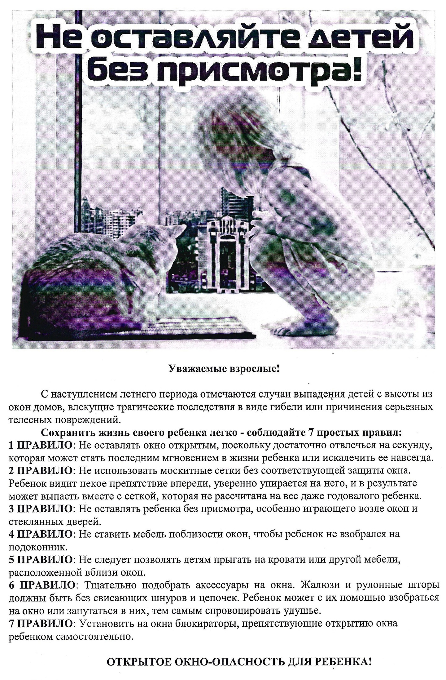 окна.jpg